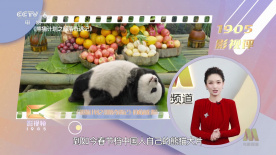 兄嫂3